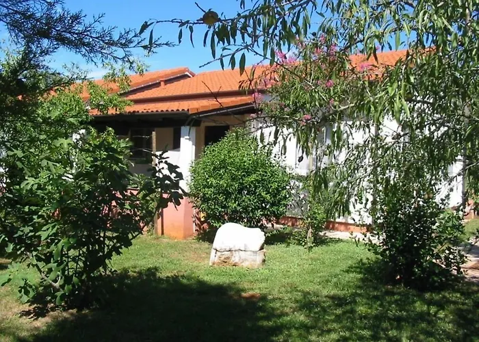 Tatil Evi - Lavanda 2